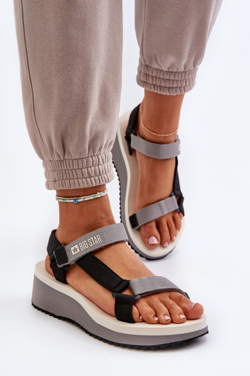 I Koturnie Big Star NN274A054    I Koturnie Big Star NN274A054