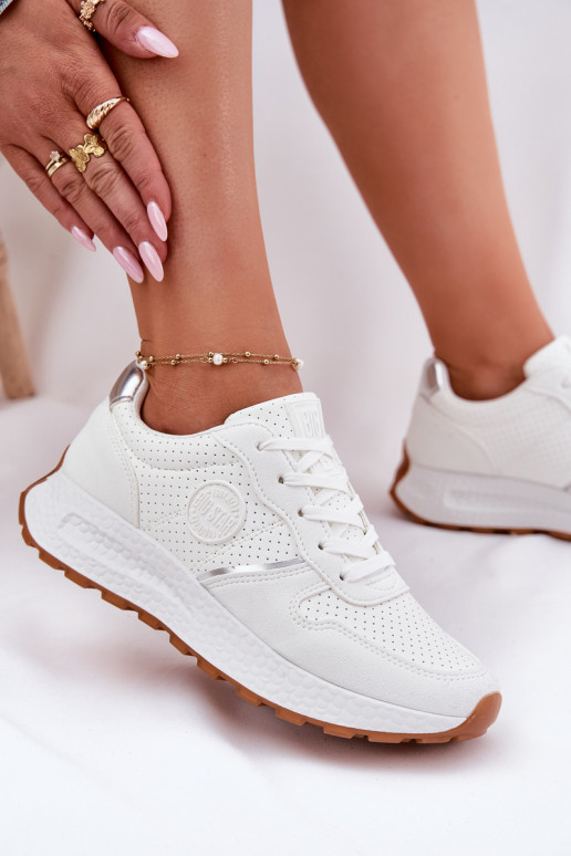    Big Star RR274487 Hi-Poly System 