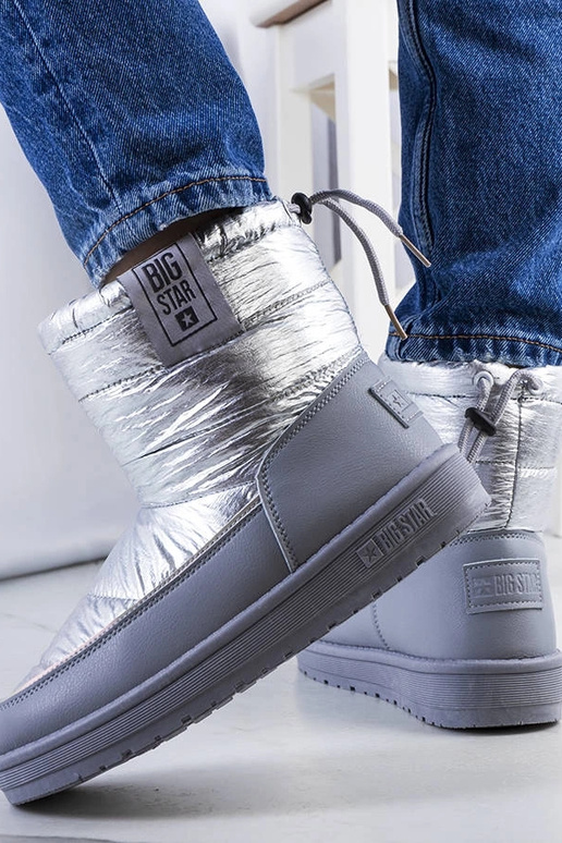 Srebrne śniegowce II274118