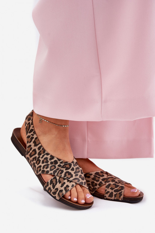 Zazoo 40407      Zazoo 40407