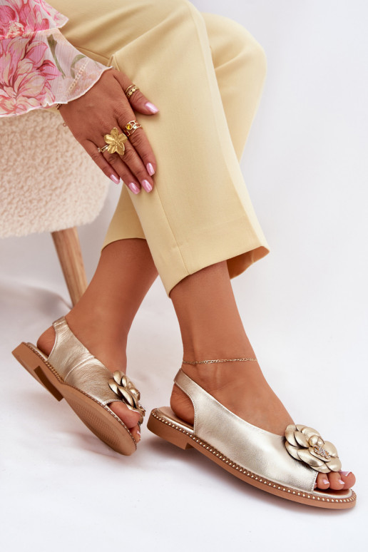 CheBello 4642     CheBello 4642