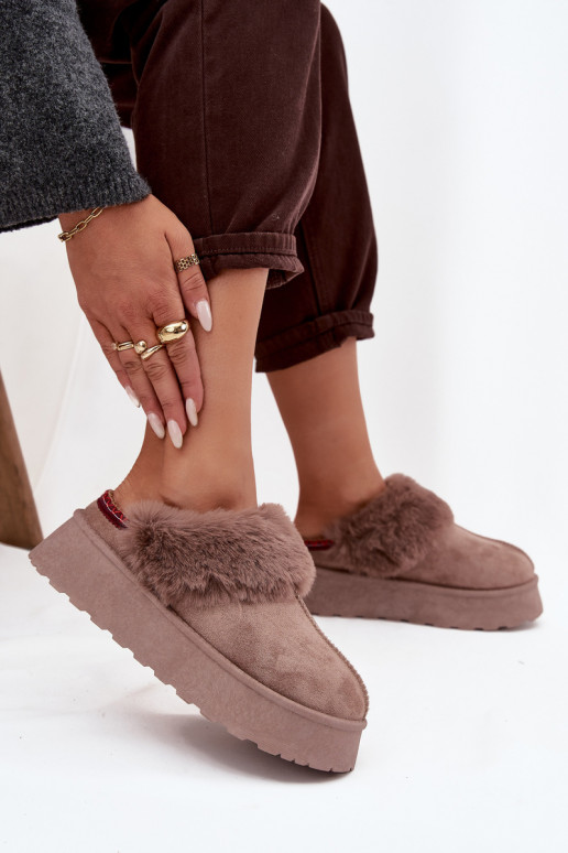 Women's snow boots on platform with fur and embroidery dark beige Querina