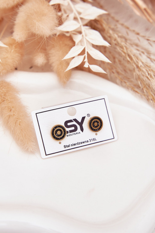 Earrings Circles Of Stainless Steel