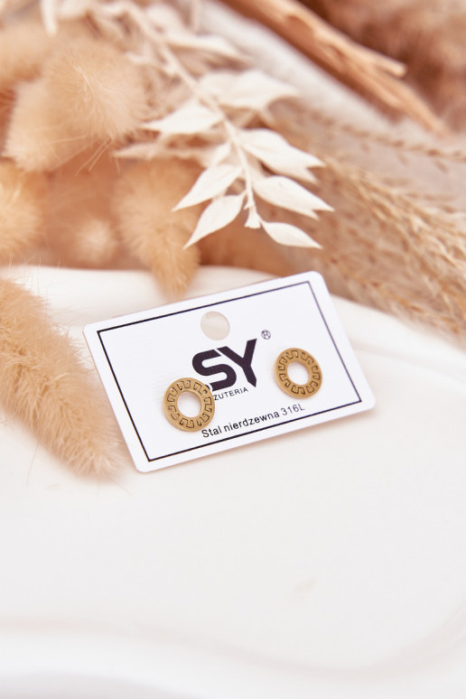 Gold Earrings Small Circles Made Of Stainless Steel