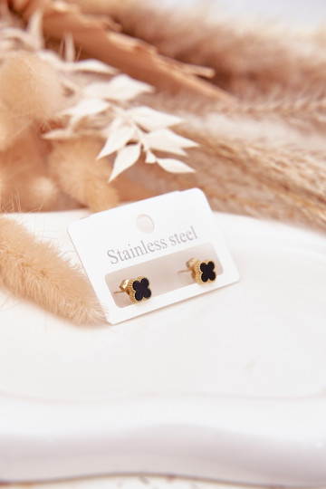Small Earrings Made of Stainless Steel Black-Gold