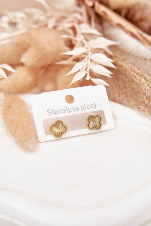 Earrings made of stainless steel gold