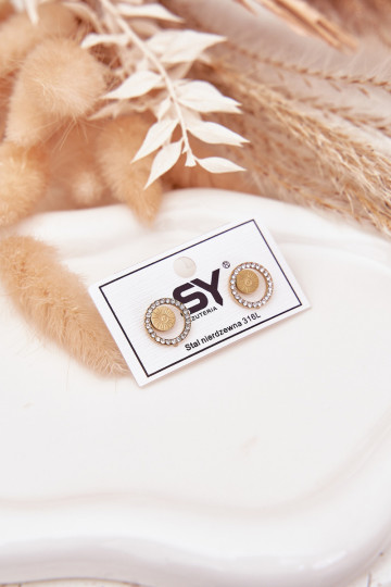 Stainless Steel Earrings Circles with Cubic Zirconia Gold 2
