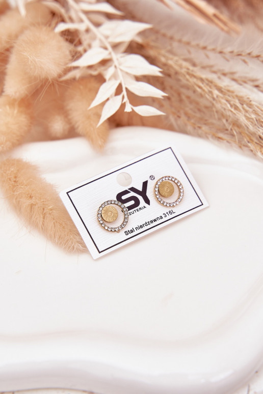 Stainless Steel Earrings Circles with Cubic Zirconia Gold