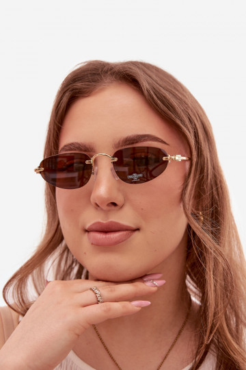 Women's Dark Brown Sunglasses 2