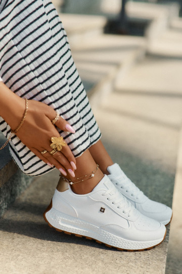    Big Star RR274629 HI-POLY SYSTEM 