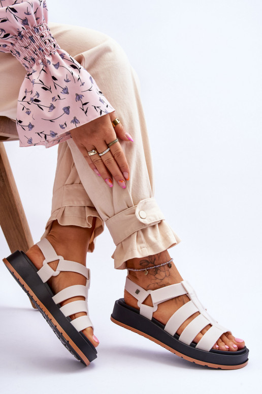 copy of     JJ285015 copy of     JJ285015