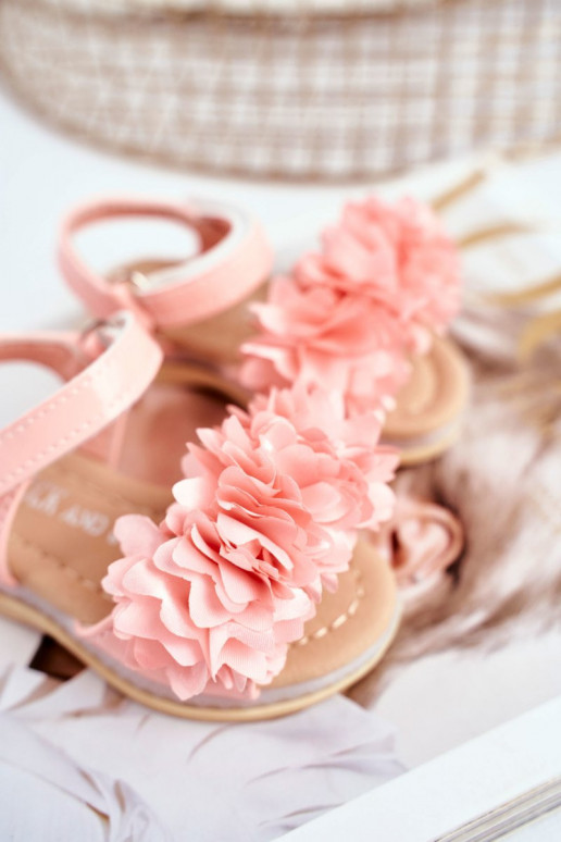 copy of    - Poly copy of    - Poly