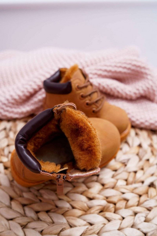 copy of  Dexter copy of  Dexter