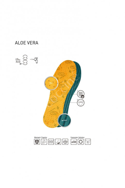 Coccine    ALOE VERA