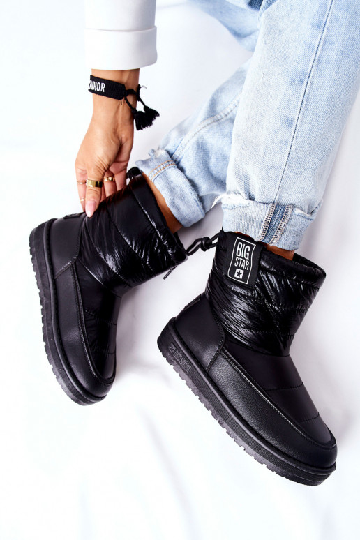 Big Star II274120    Big Star II274120