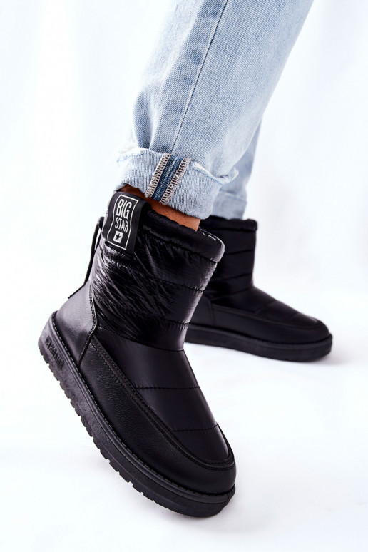 Big Star II274120    Big Star II274120