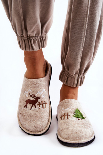 Domestic slippers Big Star KK276016 Beige 2