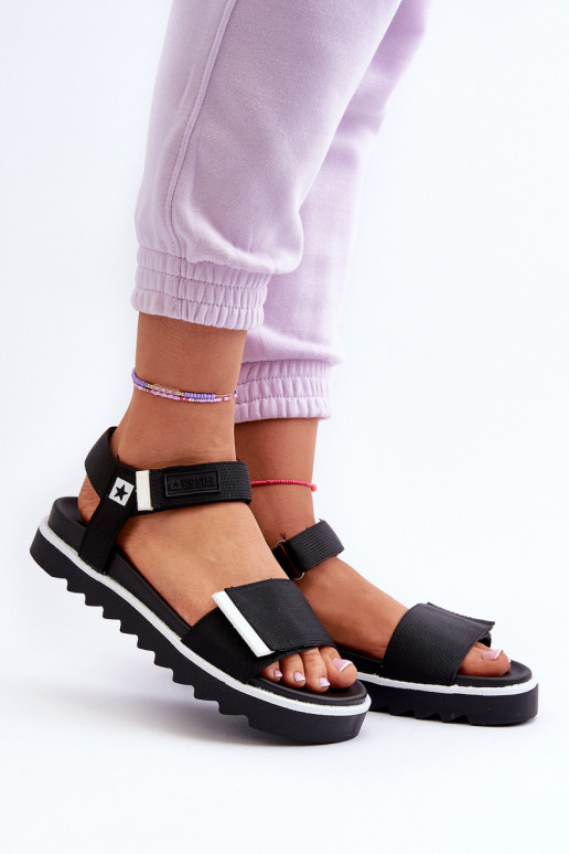 Big Star NN274778    Big Star NN274778