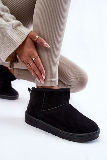    Big Star KK274288  2