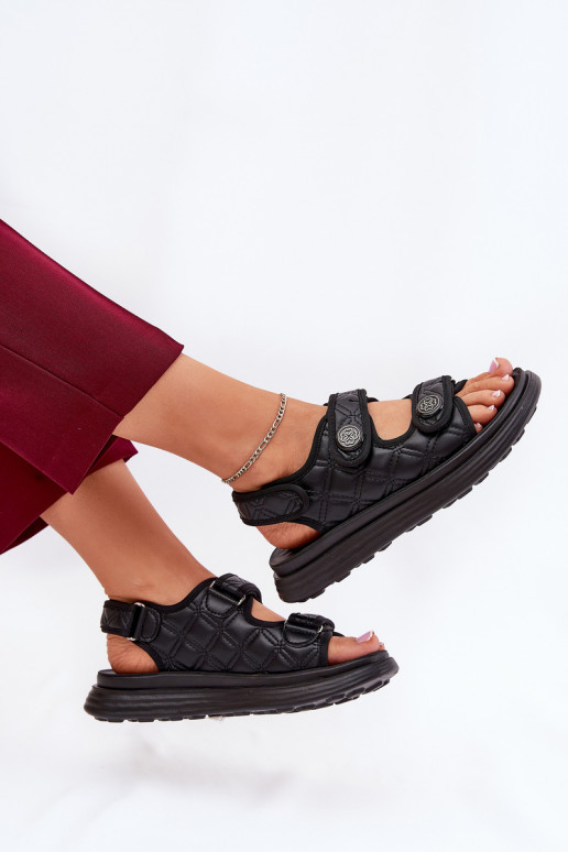  i Detalami   Zoliner