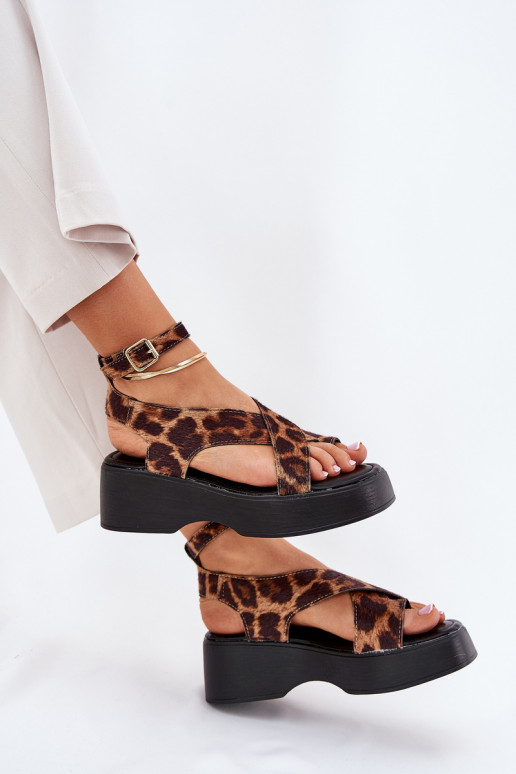 I Koturnie   Tenzorus   I Koturnie   Tenzorus