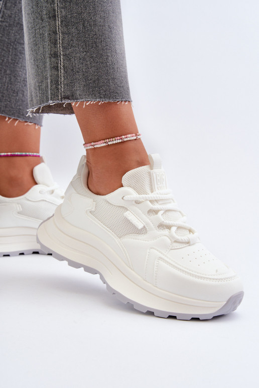 HI-POLY SYSTEM Big Star NN274A107    HI-POLY SYSTEM Big Star NN274A107