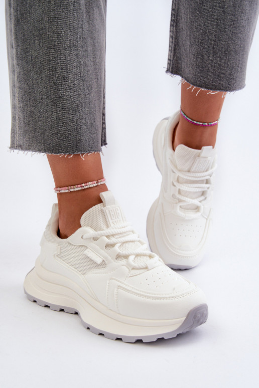 HI-POLY SYSTEM Big Star NN274A107    HI-POLY SYSTEM Big Star NN274A107