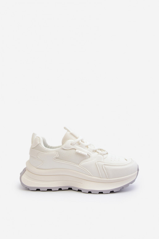 HI-POLY SYSTEM Big Star NN274A107    HI-POLY SYSTEM Big Star NN274A107