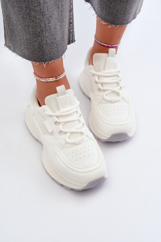 HI-POLY SYSTEM Big Star NN274A107    HI-POLY SYSTEM Big Star NN274A107