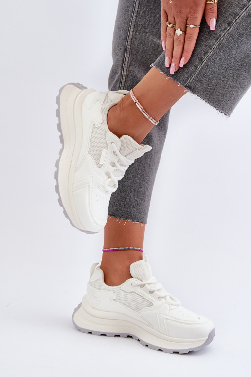 HI-POLY SYSTEM Big Star NN274A107    HI-POLY SYSTEM Big Star NN274A107