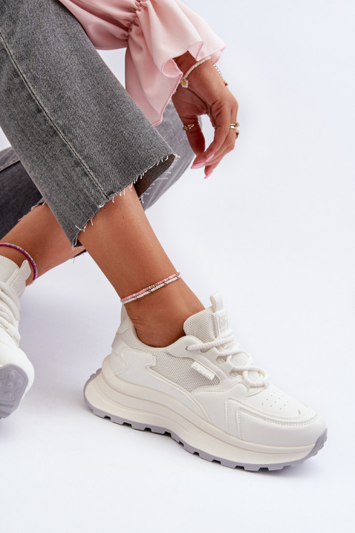 HI-POLY SYSTEM Big Star NN274A107    HI-POLY SYSTEM Big Star NN274A107