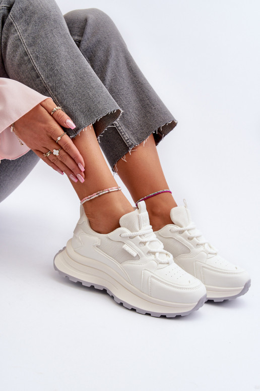 HI-POLY SYSTEM Big Star NN274A107    HI-POLY SYSTEM Big Star NN274A107