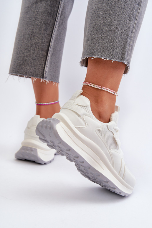 HI-POLY SYSTEM Big Star NN274A107    HI-POLY SYSTEM Big Star NN274A107